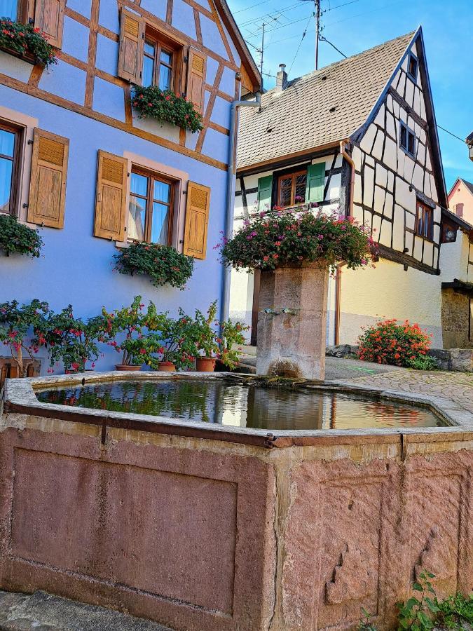 Gite Entre Vignes Et Vergers Maison Historique ゲーバーシュヴィア エクステリア 写真