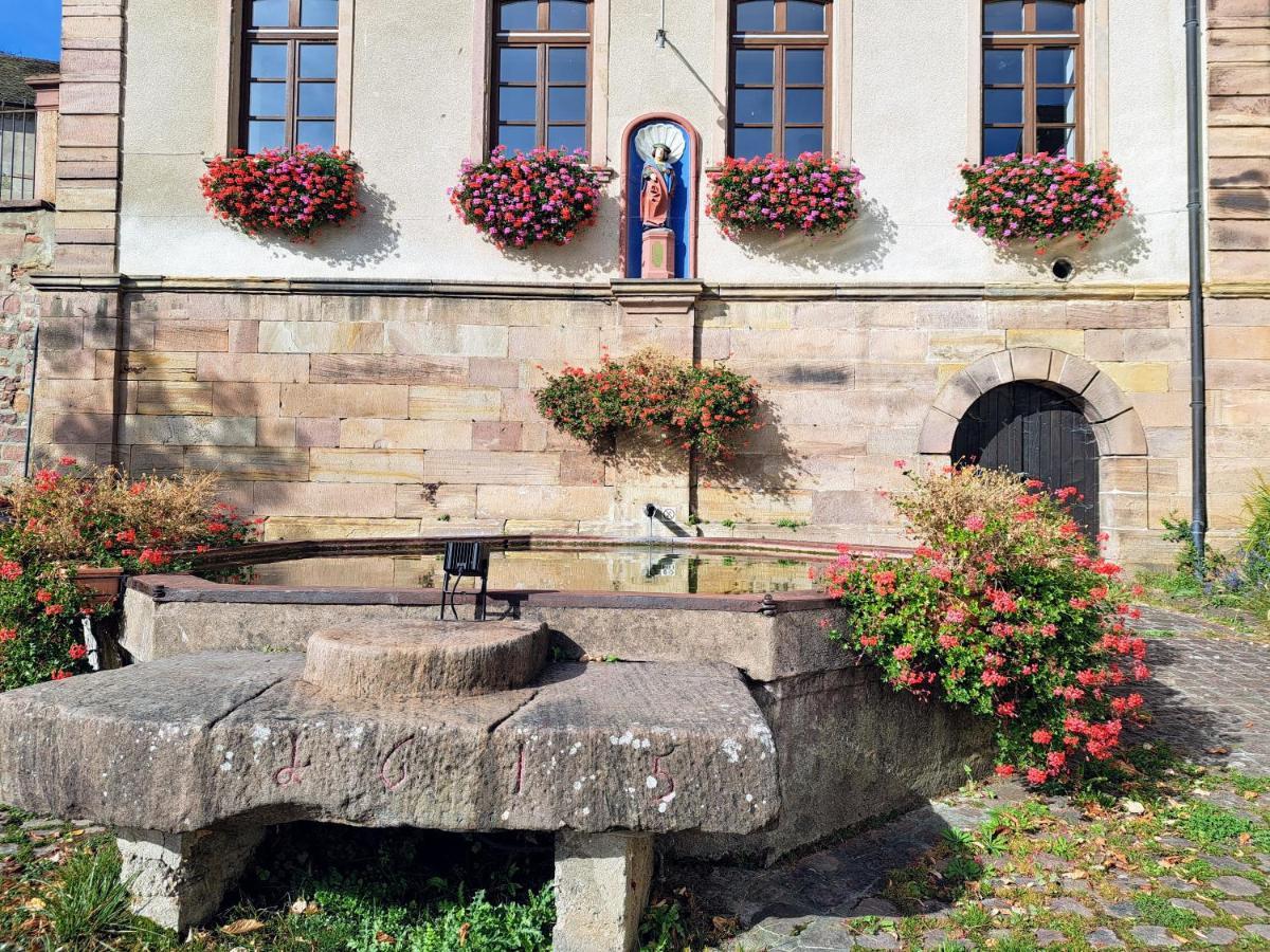 Gite Entre Vignes Et Vergers Maison Historique ゲーバーシュヴィア エクステリア 写真