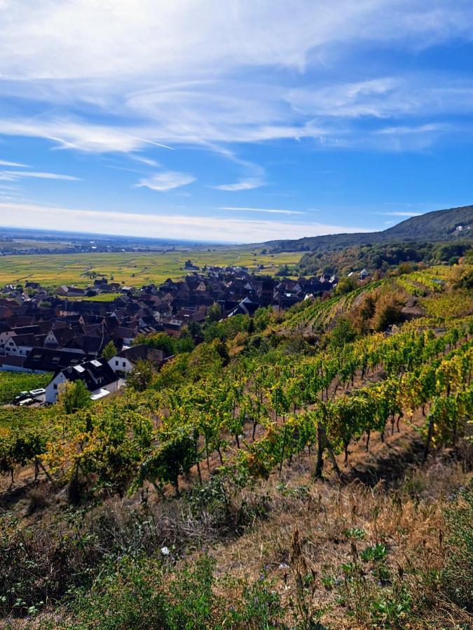 Gite Entre Vignes Et Vergers Maison Historique ゲーバーシュヴィア エクステリア 写真